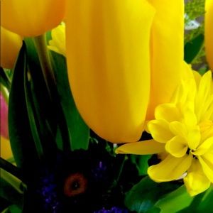 Meet your Posher, Edna